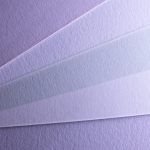Neenah100_Cotton_main.jpg
